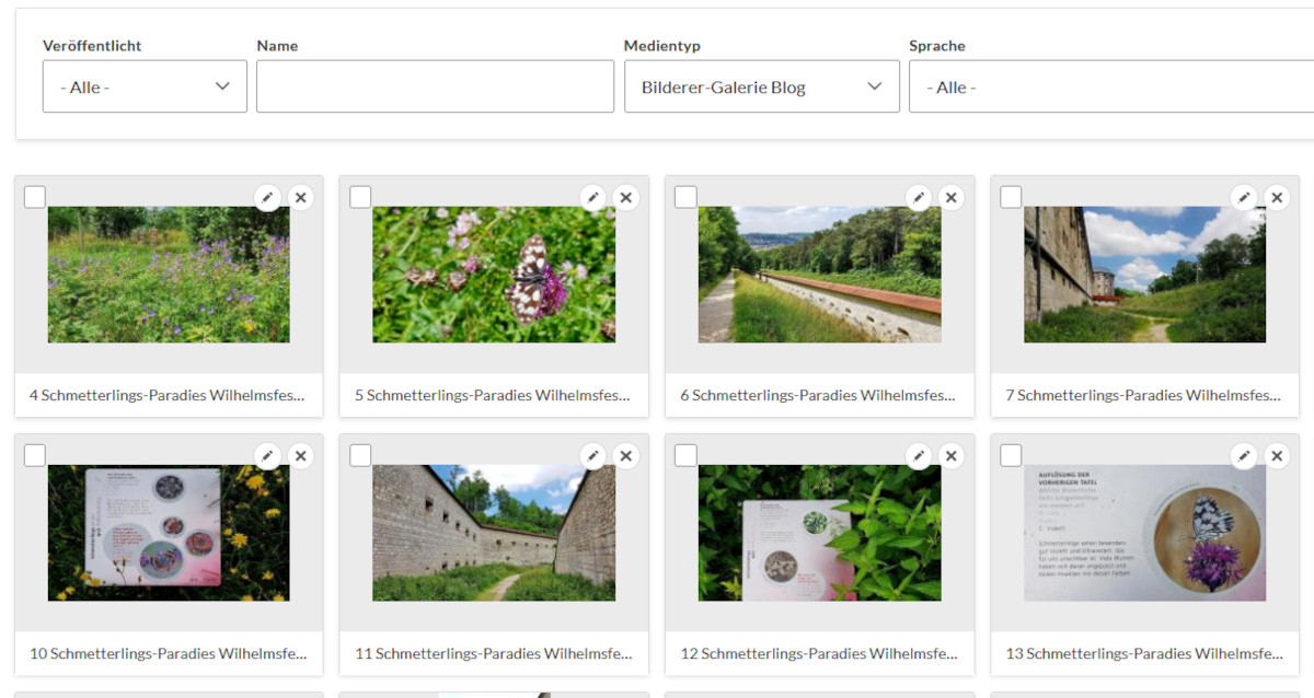 Feed-Typ für den Import von Images in Media unter Drupal 10