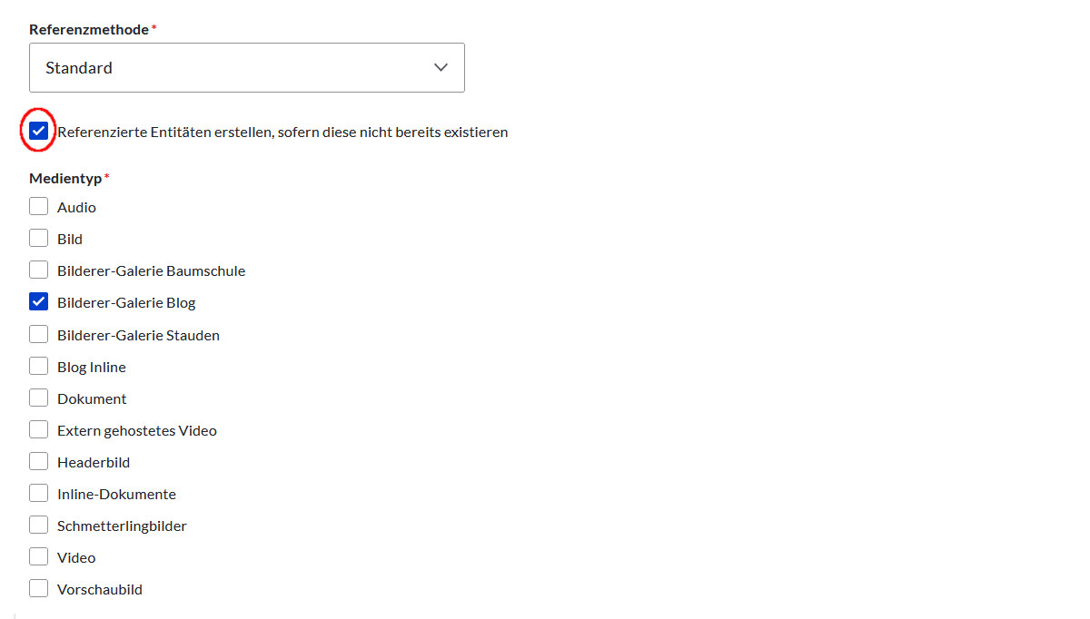 Inhaltstyp anlegen mit Referenz auf die Medien