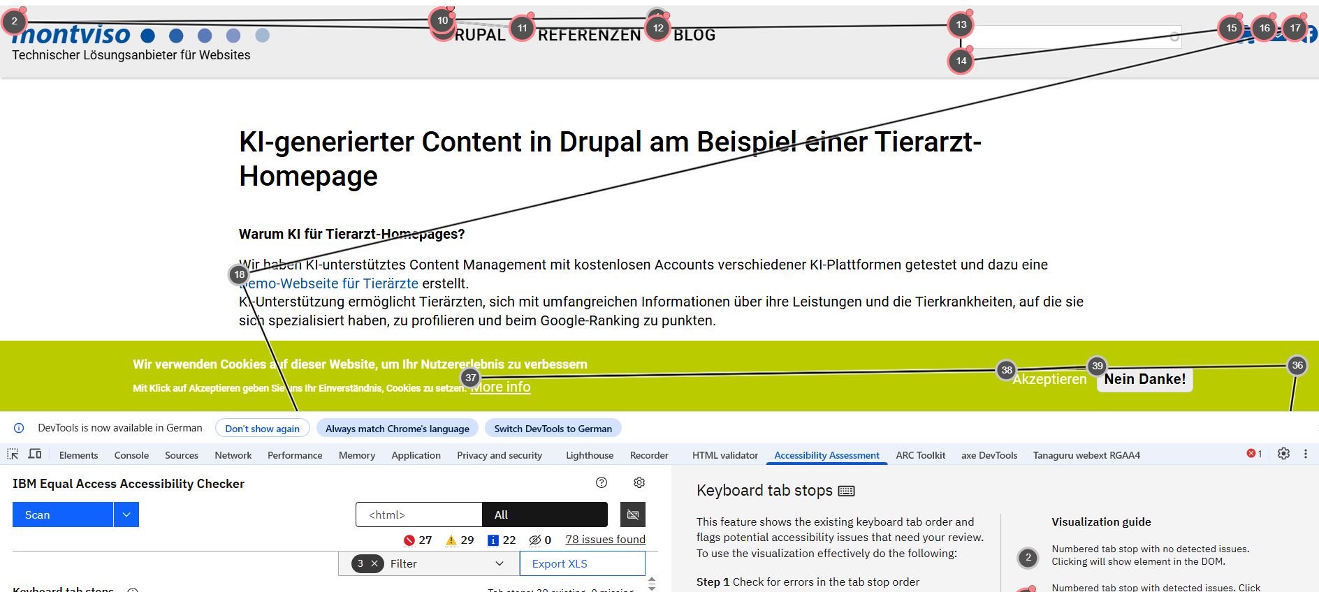 der IBM Equal Access Accessibility Checker zeigt die Tab-Reihenfolge an